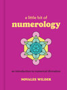 Cover image for A Little Bit of Numerology